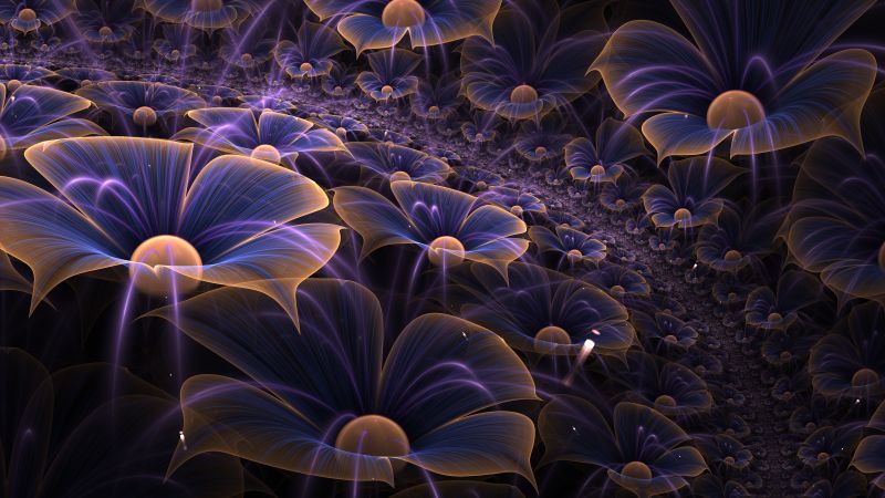 macro, digital art, flowers (horizontal)