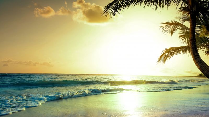 tropical beach, 5k, 4k wallpaper, paradise, sunset (horizontal)