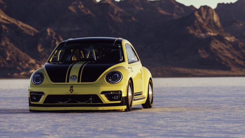 Volkswagen Beetle LSR, rally, yellow, speed (horizontal)