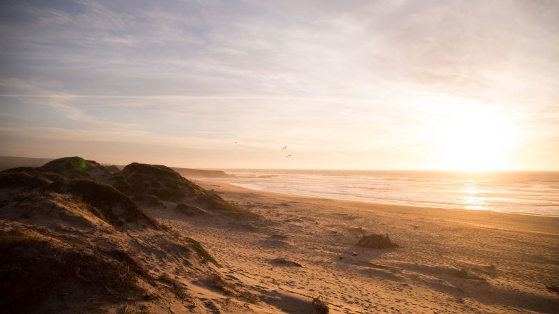 beach, 5k, 4k wallpaper, 8k, ocean, sunset (horizontal)