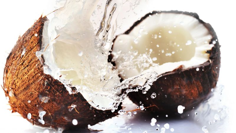 coconut, 8k (horizontal)