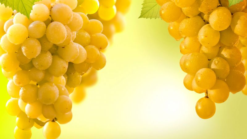 grapes, 5k (horizontal)