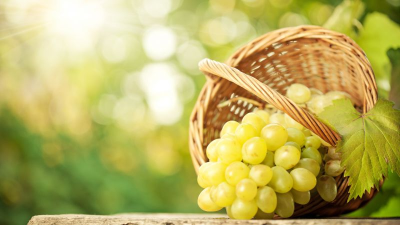 grapes, 8k (horizontal)