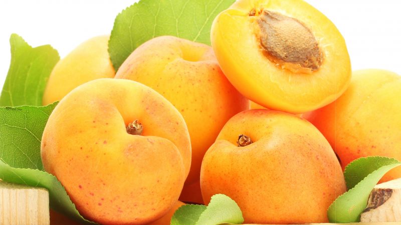 apricot, 5k (horizontal)