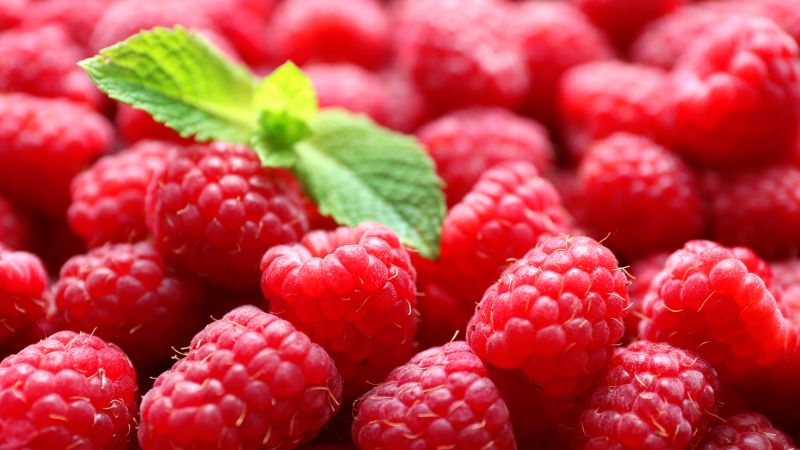 raspberries, delicious, 5k (horizontal)