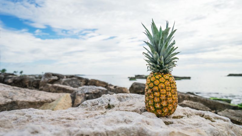 pineapple, fruit, stones, beach, 4k (horizontal)