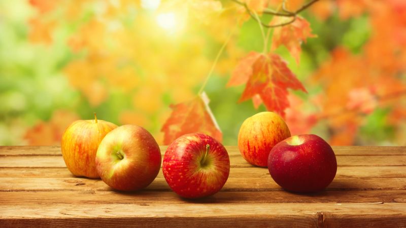 apple, fruit, autumn, 4k (horizontal)