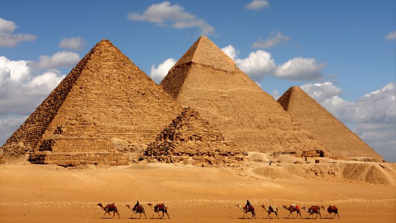 Egypt, pyramid, camel, 8k (horizontal)