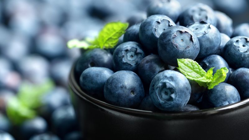 blueberry, berries, 4k (horizontal)