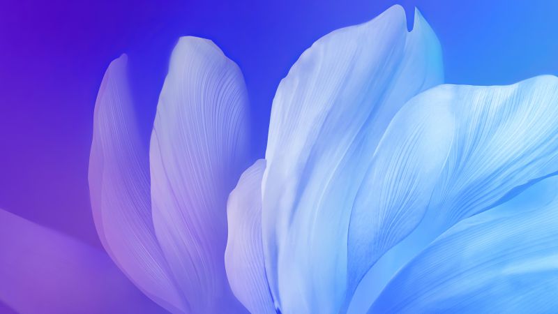 Vivo V17, colorful, Android 10, abstract, 4K (horizontal)