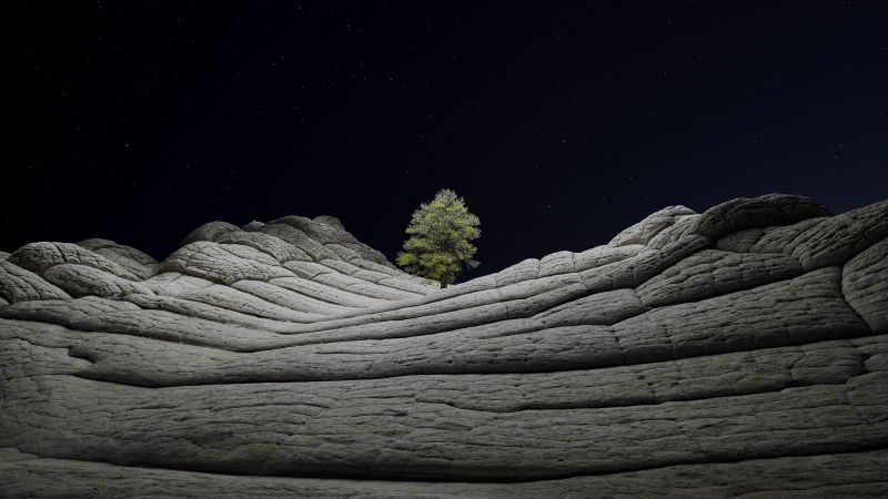 iOS 14.2, Desert, Tree, Night, 4K (horizontal)