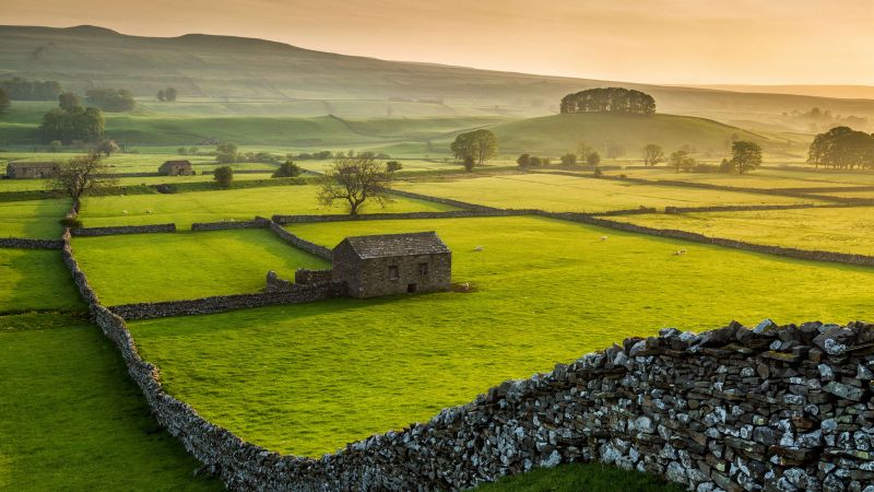 Wensleydale, Yorkshire Dales National Park, North Yorkshire, green, grass, summer, 5K (horizontal)