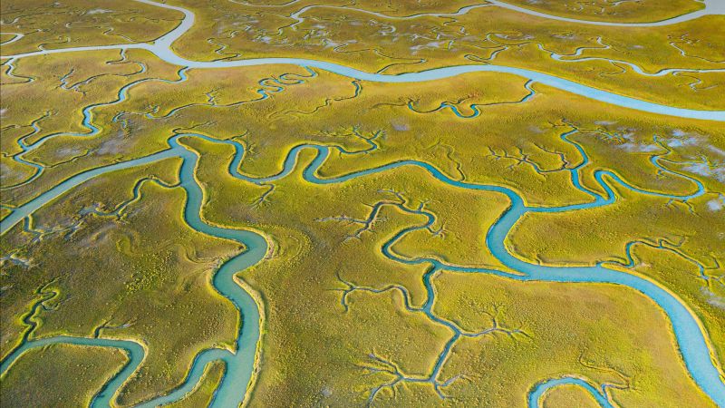 river, Mockhorn Channel, green, Earth, 4K (horizontal)