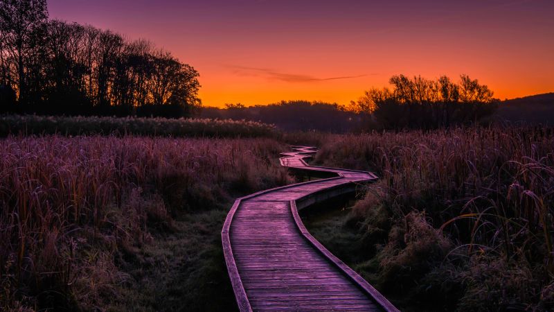 boardwalk, grass, sunset, 8K (horizontal)