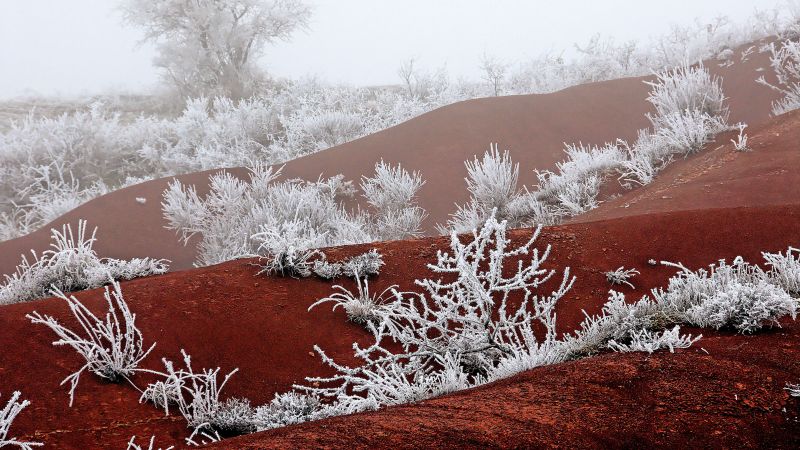 frost, winter, snow, fog, white, 5K (horizontal)