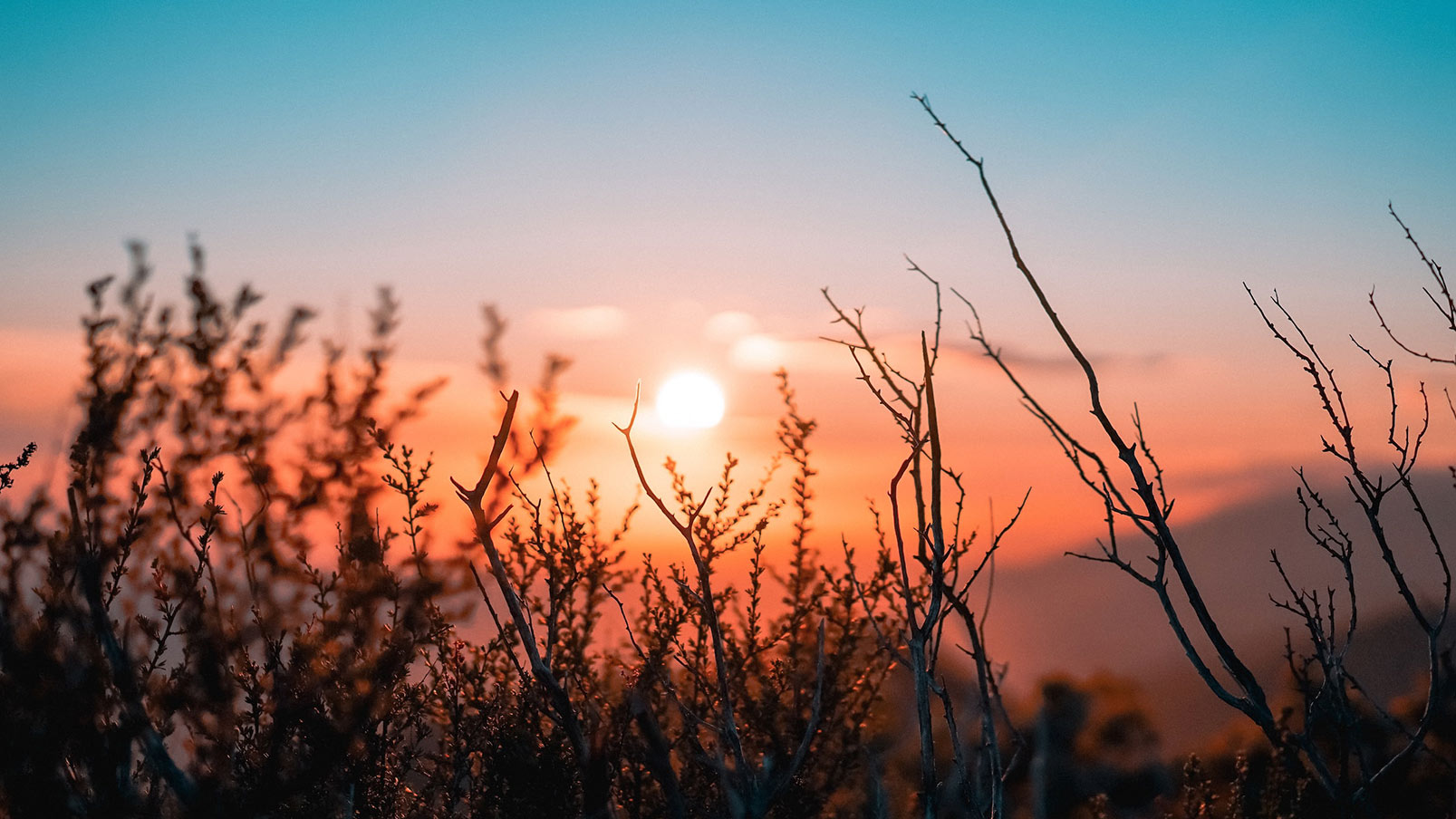 Nature 4k Wallpapers