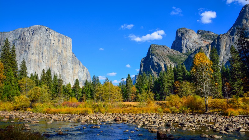 Yosemite, 5k, 4k wallpaper, 8k, forest, OSX, apple, mountains (horizontal)