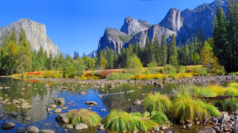 Yosemite, 5k, 4k wallpaper, 8k, forest, OSX, apple, mountains (horizontal)