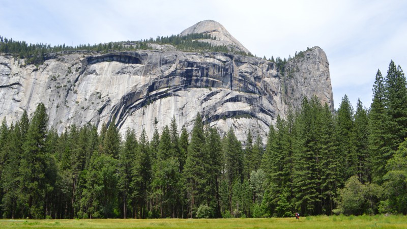 Yosemite, 5k, 4k wallpaper, 8k, forest, OSX, apple, mountains (horizontal)