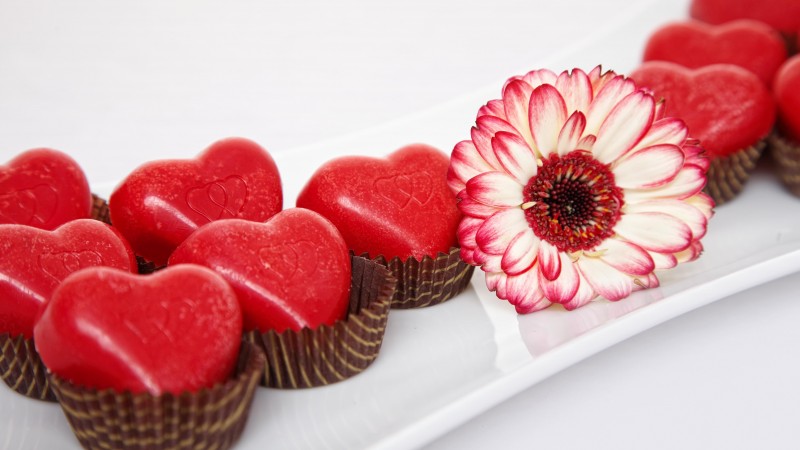 Valentine's Day, February 14, flowers, chrysanthemum, chocolate, candy, hearts, love (horizontal)