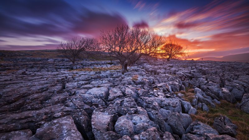 Rocks, 5k, 4k wallpaper, trees, sunset, clouds (horizontal)