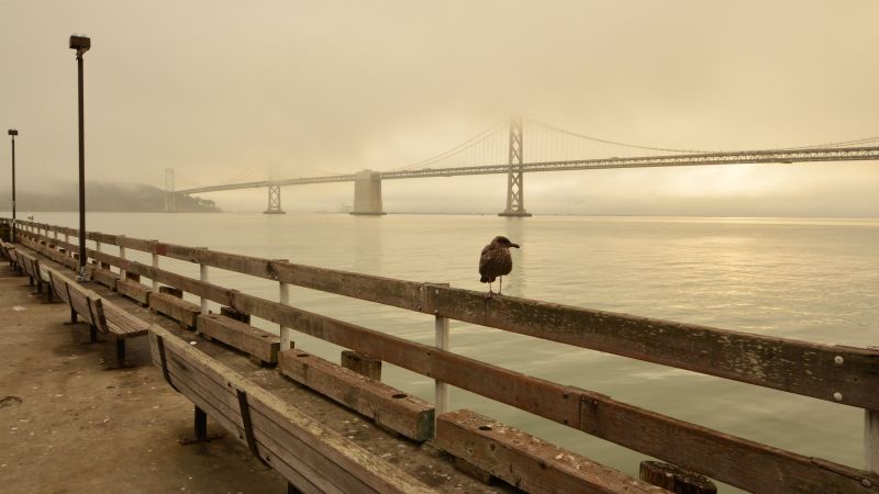 Bay Beach, San Francisco, California USA, Best Beaches in the World, travel, tourism (horizontal)