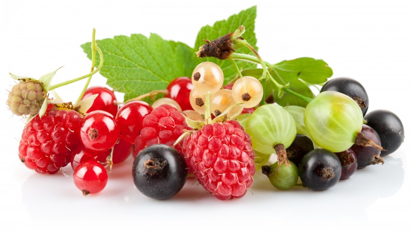 berries, gooseberries, currants, raspberries, blueberries (horizontal)