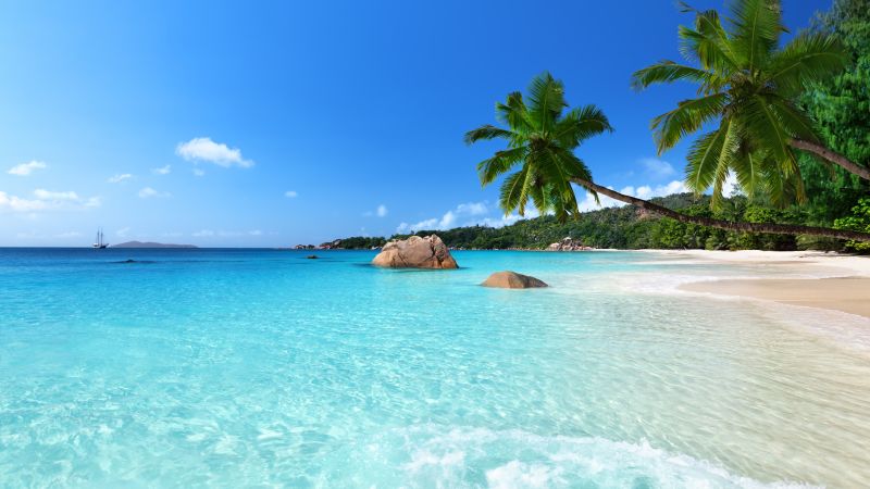 Anse Lazio, Praslin Island, Seychelles, Best beaches of 2016, Travellers Choice Awards 2016 (horizontal)