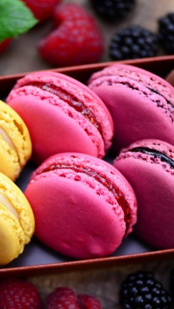 macaroon, recipe, cooking, chocolate, lemon, blackberry, raspberry,  (vertical)