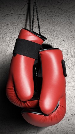 Boxing gloves, red, boxing (vertical)