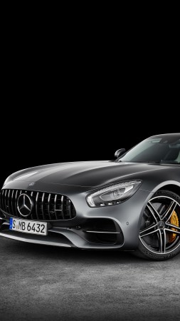 Mercedes-AMG GT C Roadster, paris auto show 2016, roadster, silver (vertical)