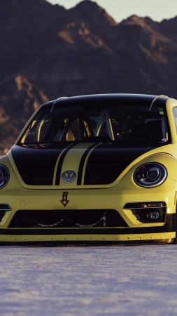 Volkswagen Beetle LSR, rally, yellow, speed (vertical)