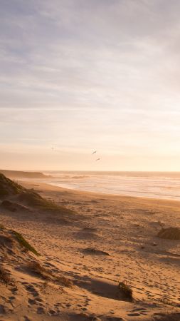 beach, 5k, 4k wallpaper, 8k, ocean, sunset (vertical)