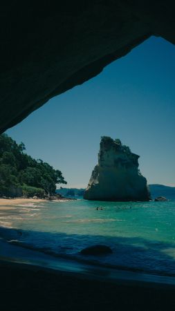 mountains, 5k, 4k wallpaper, ocean, forest (vertical)