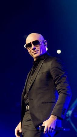 Pitbull, photo, 5k (vertical)