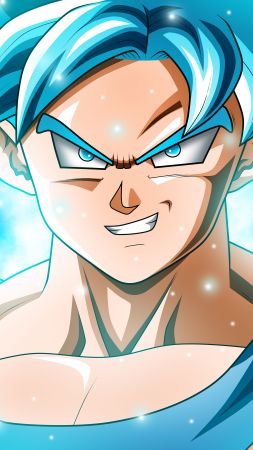 anime, Dragon Ball Super, Goku, 8k (vertical)