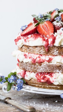 birthday cake, receipt, strawberry, 5k (vertical)