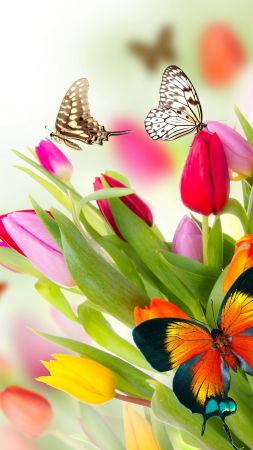 butterfly, flowers, tulips, 4k (vertical)