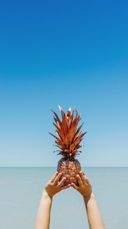 pineapple, sky, ocean, 5k (vertical)