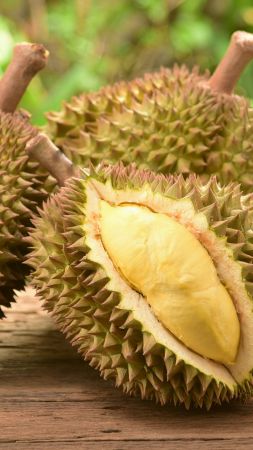 durian, fruit, 5k (vertical)