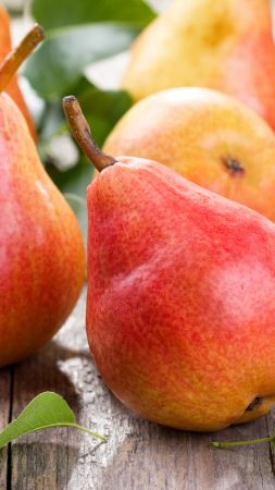 pear, fruit, 4k (vertical)