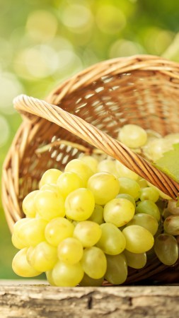 grapes, 8k (vertical)