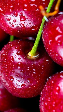 cherries, delicious, 4k (vertical)