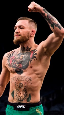 Conor McGregor, boxing, 4k (vertical)