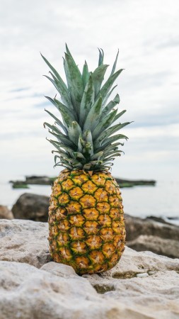 pineapple, fruit, stones, beach, 4k (vertical)