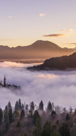 fog, mountains, forest, 5k (vertical)