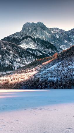 Snowy Mountains, Australia, snow, forest, 5k (vertical)