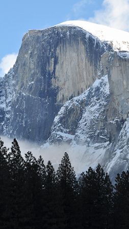 Half Dome, mountain, Yosemite, National Park, California, forest, 4k (vertical)