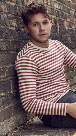 Niall Horan, photo, 8k (vertical)