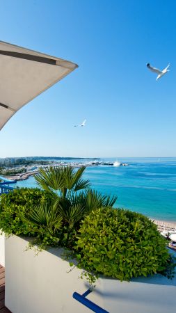 Grand Hyatt Martinez, hotel, France, Europe, 4k (vertical)